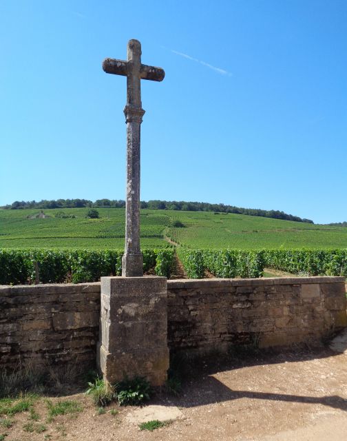 Route Des Grands Crus', Private Wine Tasting in Burgundy! - Tour Highlights