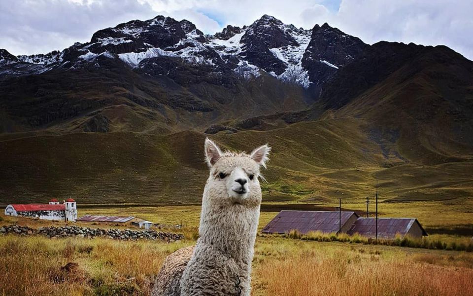 Route of the Sun: Bus Trip From Cusco to Puno With Stops - Trip Highlights