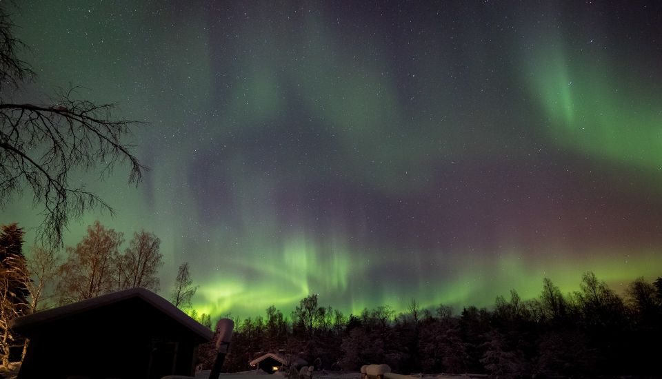 Rovaniemi: Apukka Reindeer Sleigh Safari at Night - Payment and Reservation Information