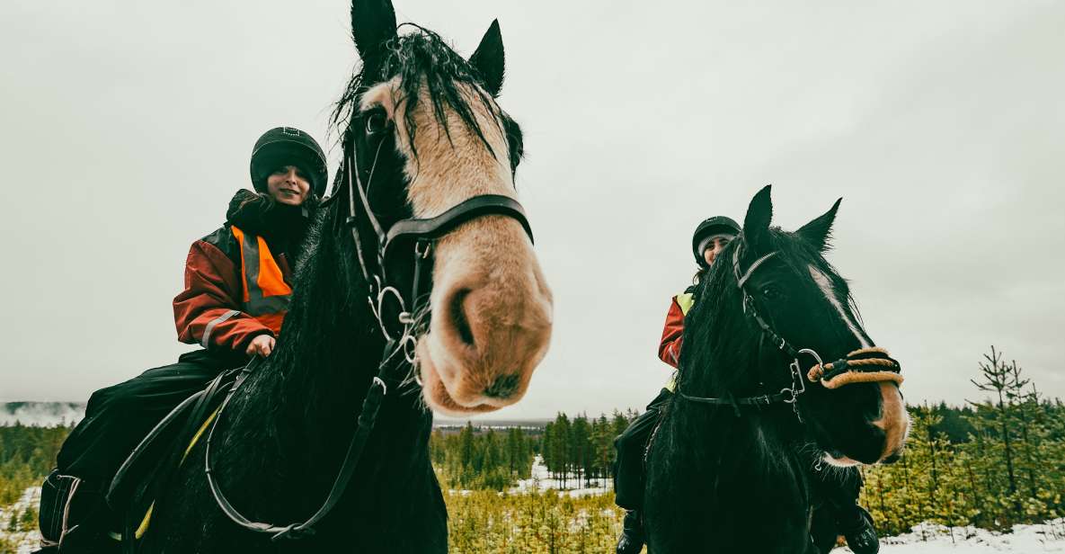 Rovaniemi: Arctic Horse Riding Experience - Experience Highlights