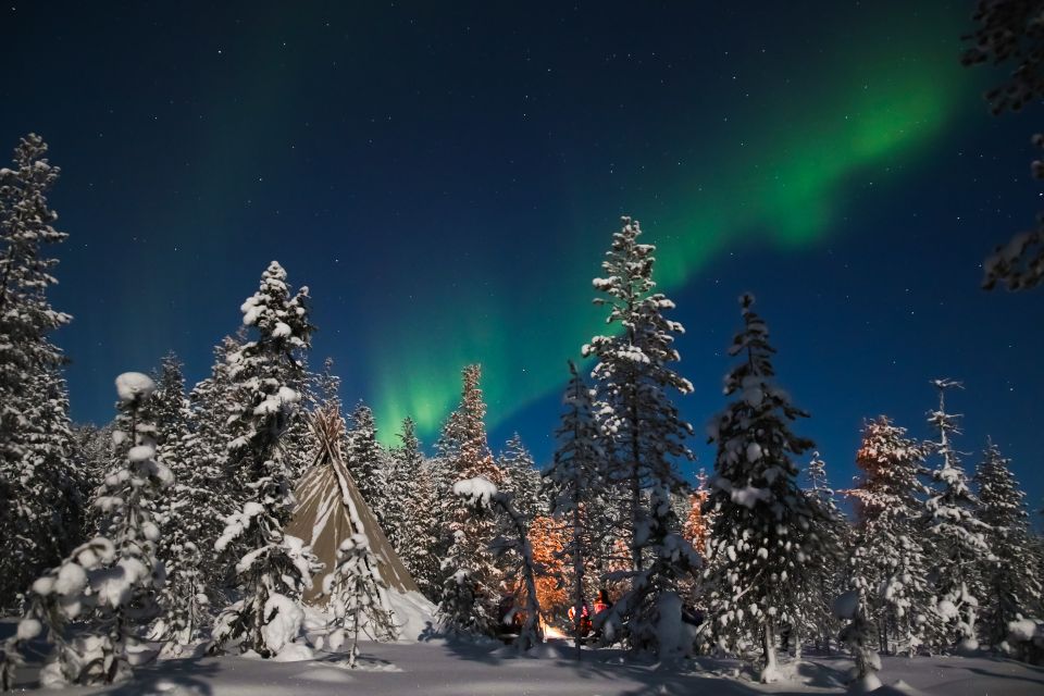 Rovaniemi: Aurora Borealis and Picnic - Experience Highlights