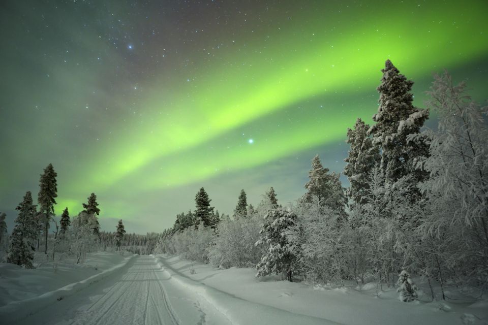 Rovaniemi: Aurora Borealis Snowmobile Safari With Campfire - Experience Highlights