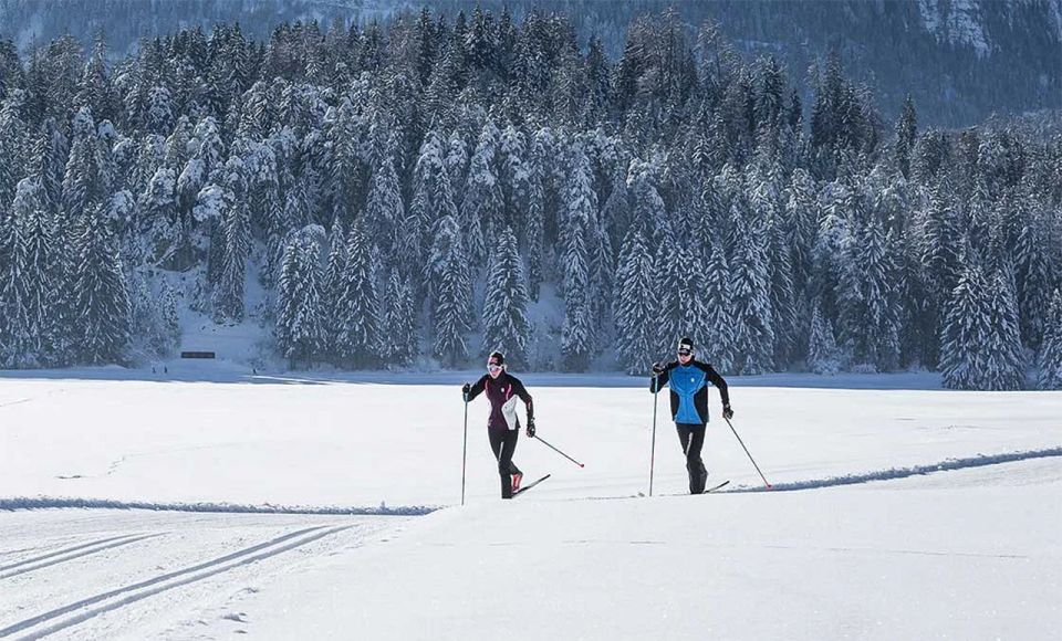 Rovaniemi: Cross Country Wilderness Ski Adventure - Experience Highlights