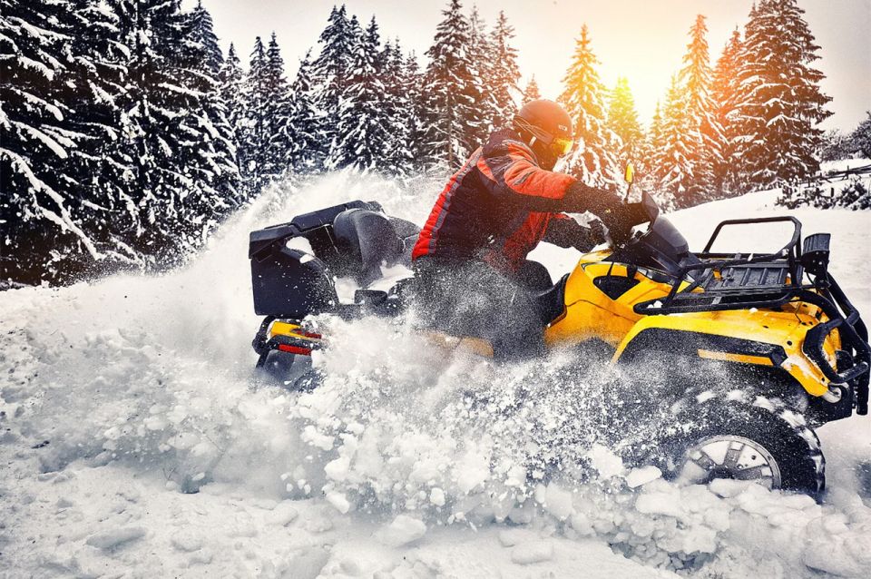 Rovaniemi: Delightful Quad Bike Ride in the Arctic Circle - Experience Highlights