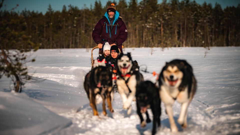 Rovaniemi: Feel the Speed of Huskies - Discover Rovaniemis Snowy Forest
