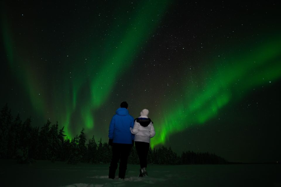 Rovaniemi: Guided Northern Lights Tour by Van - Northern Lights Phenomenon Overview