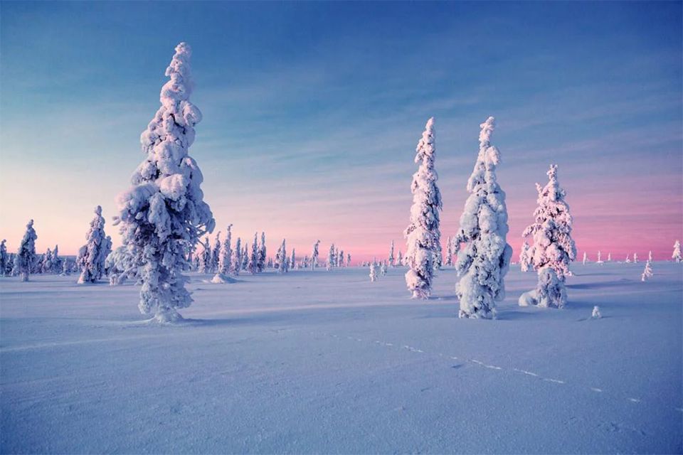 Rovaniemi: Half-Day Snowmobile & Ice Fishing Experience - Booking Information