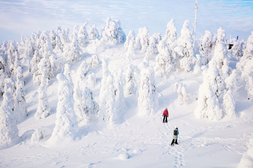 Rovaniemi: Hiking and Snowshoeing Adventure in Lapland - Activity Details