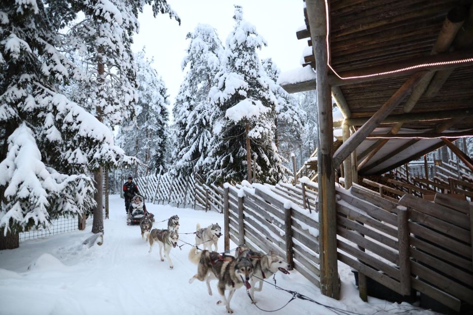 Rovaniemi: Husky and Reindeer Farm Visit With Sleigh Rides - Experience Highlights