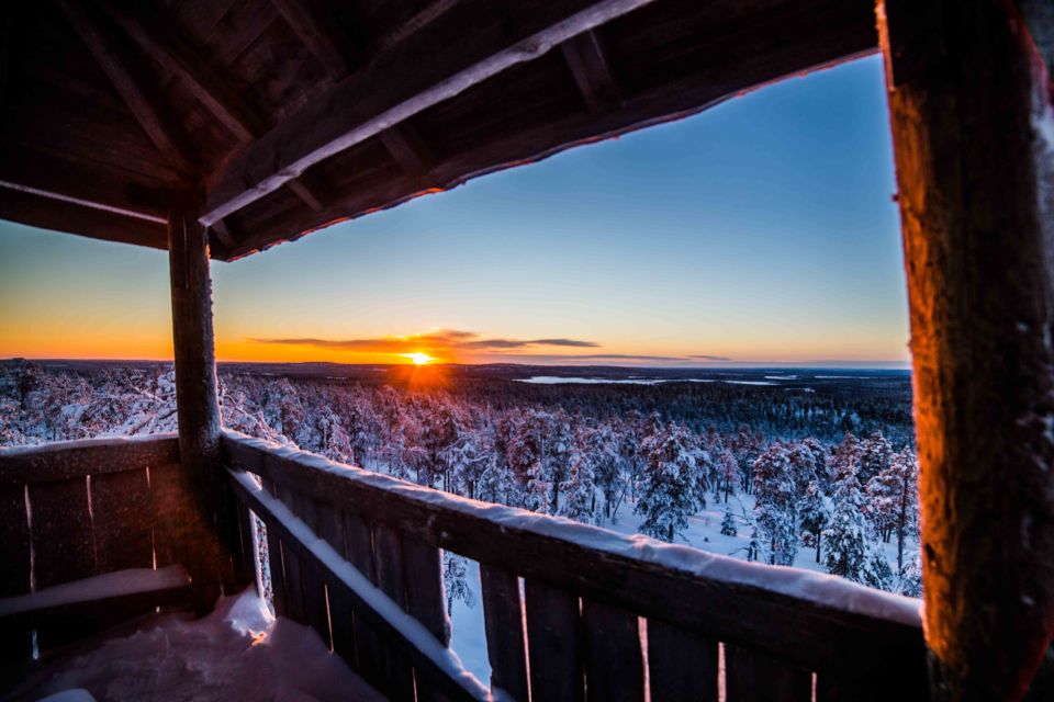 Rovaniemi: Nordic Forest Wilderness Adventure - Experience Highlights