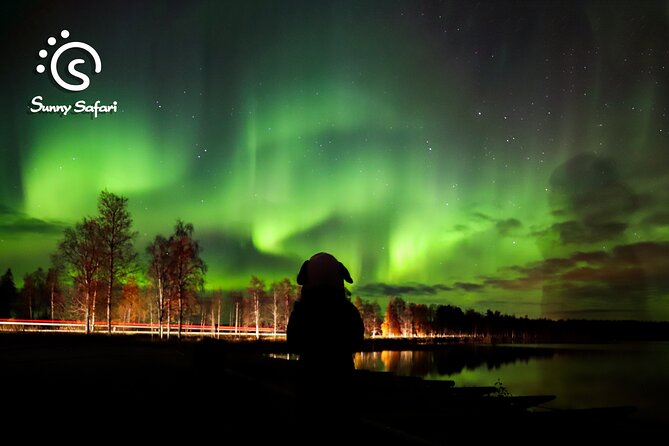 Rovaniemi Northern Lights Expedition - End Point Information