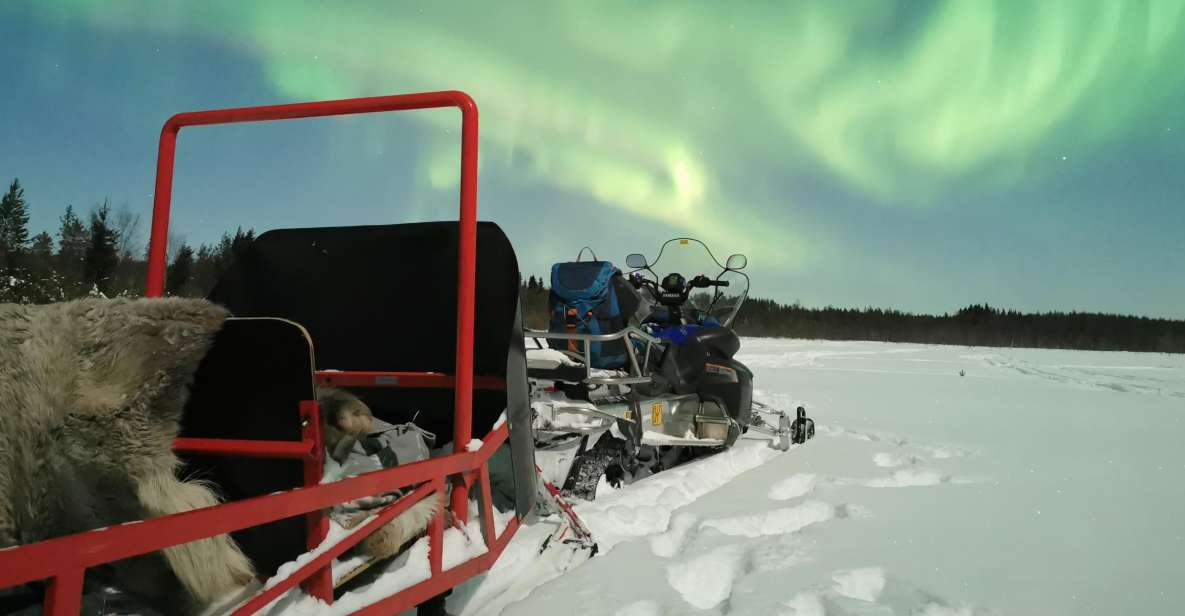 Rovaniemi: Northern Lights Sledge Ride - Reservation Process