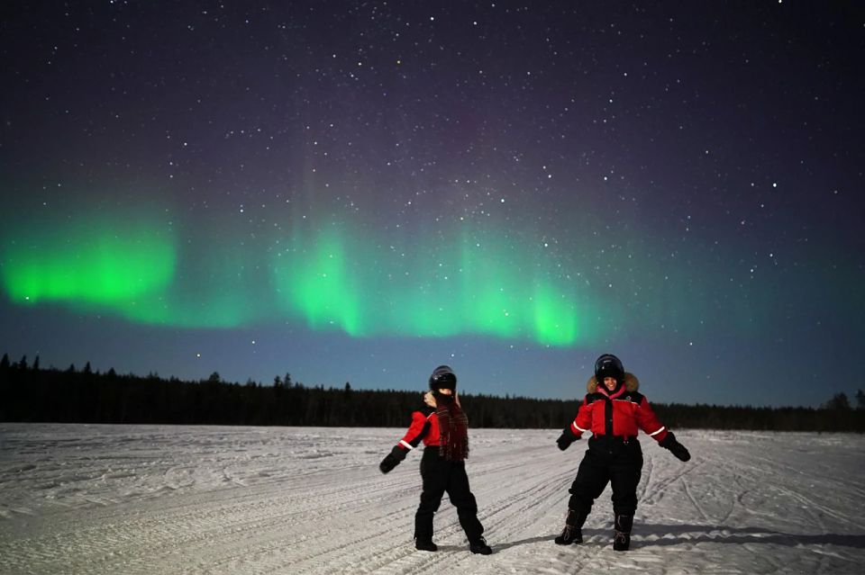 Rovaniemi: Northern Lights Sleigh Ride - Experience Highlights