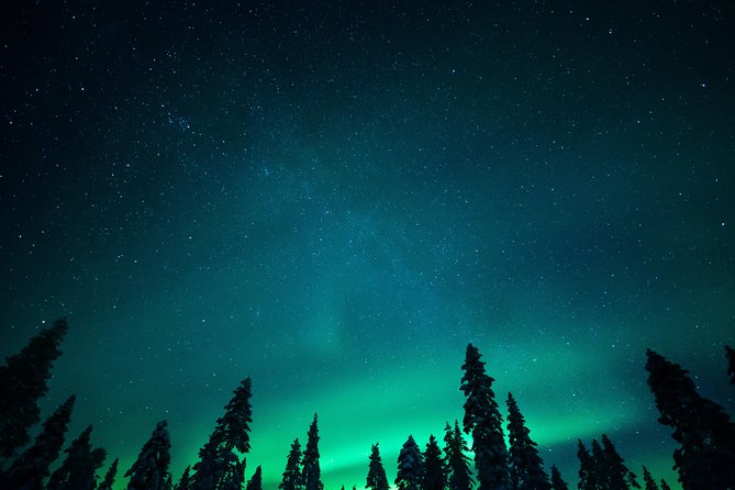 Rovaniemi Northern Lights Wilderness Guided Small-Group Tour (Mar ) - Booking Information