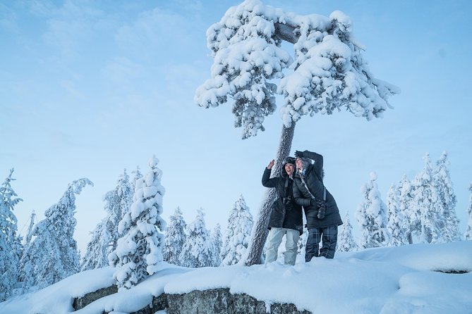 Rovaniemi Photography Tour - Weather and Traveler Requirements