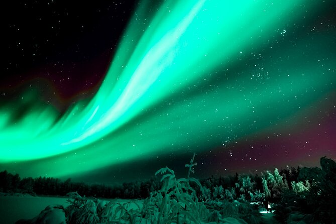 Rovaniemi: Private Aurora Tour With Guaranteed Sightings - Cancellation Policy