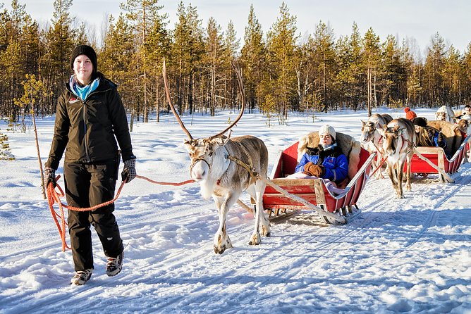 Rovaniemi Reindeer Farm Visit and Safari - Cancellation Policy and Refund Information