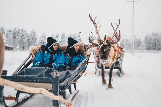 Rovaniemi Reindeer Sleigh Ride (Mar ) - Expectations and Guidelines