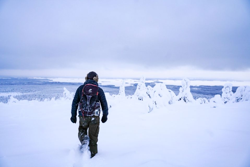 Rovaniemi: Riisitunturi National Park Day Trip With Lunch - Experience Highlights