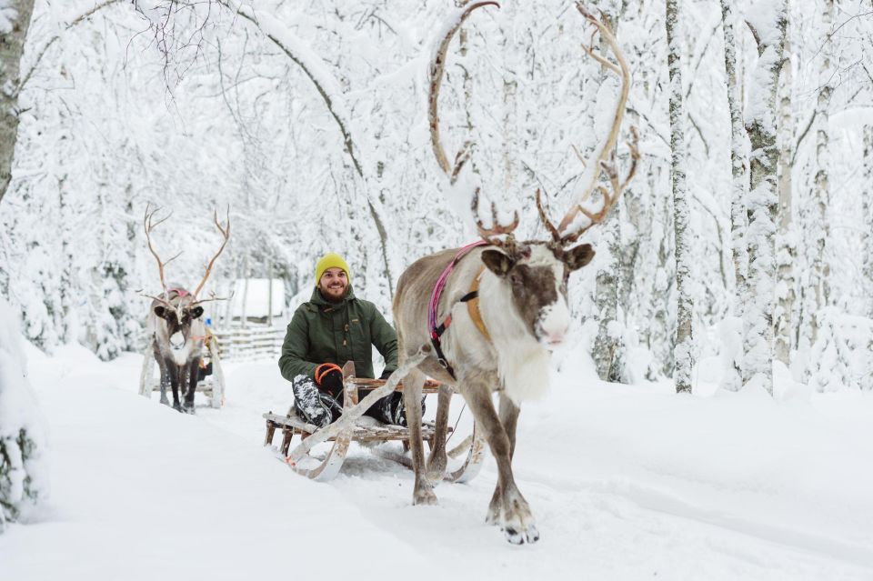 Rovaniemi: Santa Claus Village, Husky & Reindeer Sled Ride - Experience Highlights