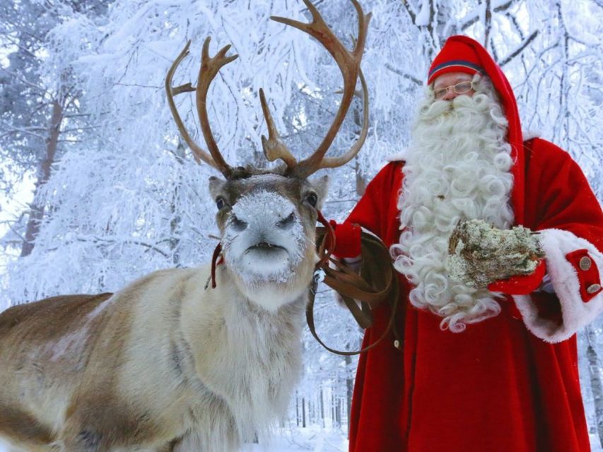 Rovaniemi: Santa Claus Village Tour & Arctic Circle Crossing - Pickup Information