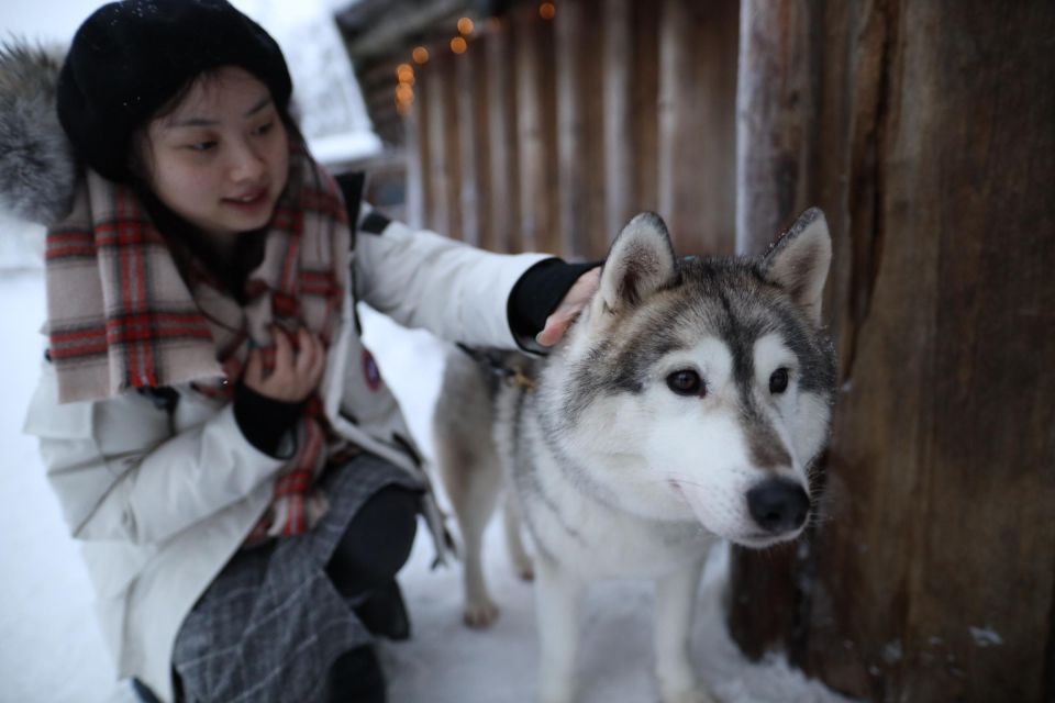 Rovaniemi: Santa Claus Village Tour Huskies & Reindeer Visit - Inclusions and Immersive Scenery