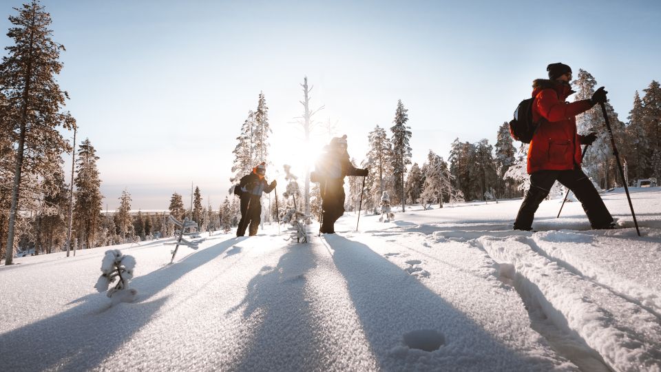 Rovaniemi: Ski Trekking Safari in Lapland - Experience Highlights