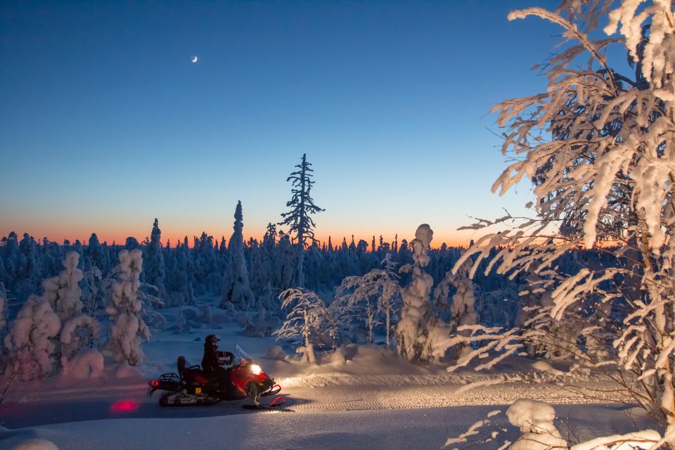 Rovaniemi: Snowmobile Safari & Campfire Evening Escape - Experience Highlights