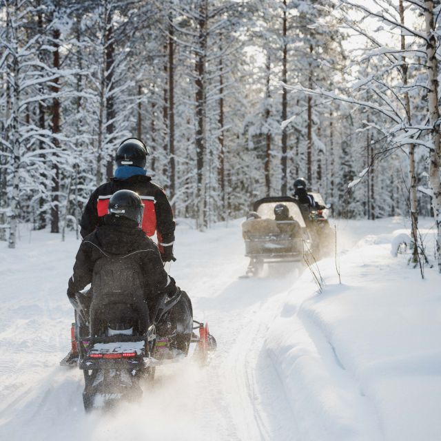 Rovaniemi: Snowmobile Safari in the Arctic Circle - Experience Highlights