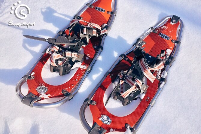 Rovaniemi Snowshoe Excursion - What To Expect During the Excursion