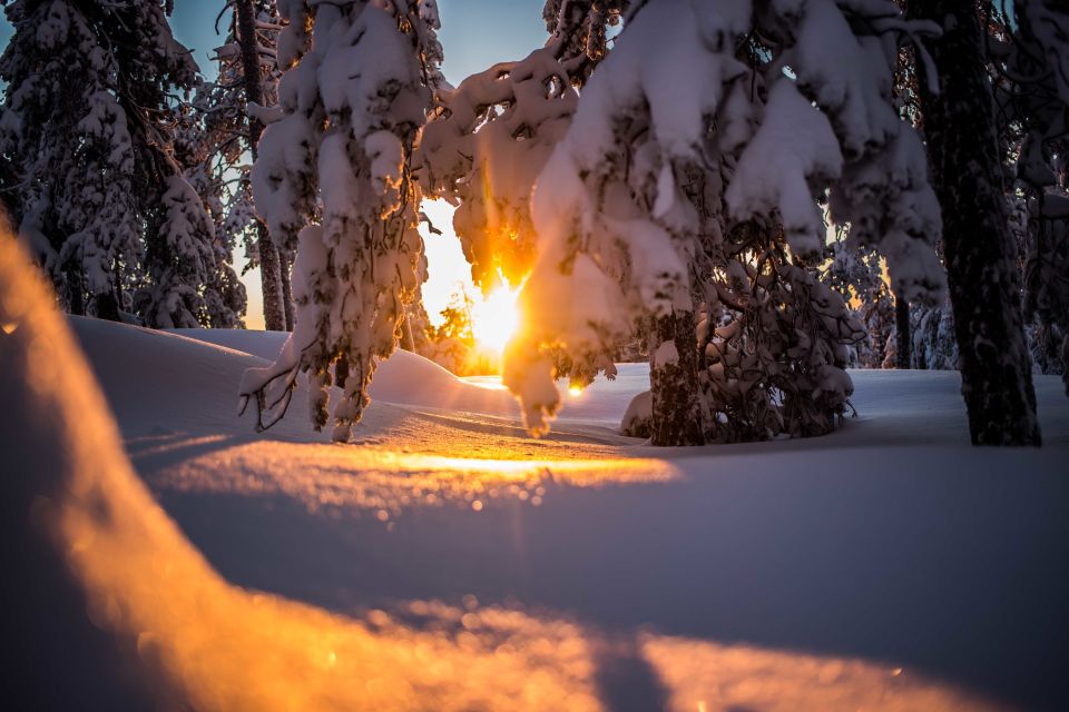 Rovaniemi: Snowshoe Wilderness Adventure - Experience Highlights