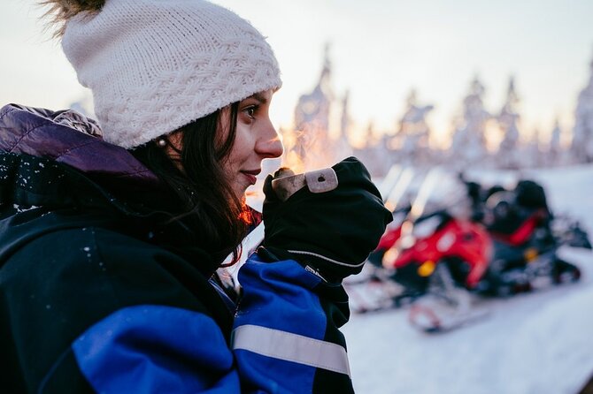 Rovaniemi Tour: Snowmobile, Arctic Reindeer and Husky Safari Ride - Husky Safari Ride