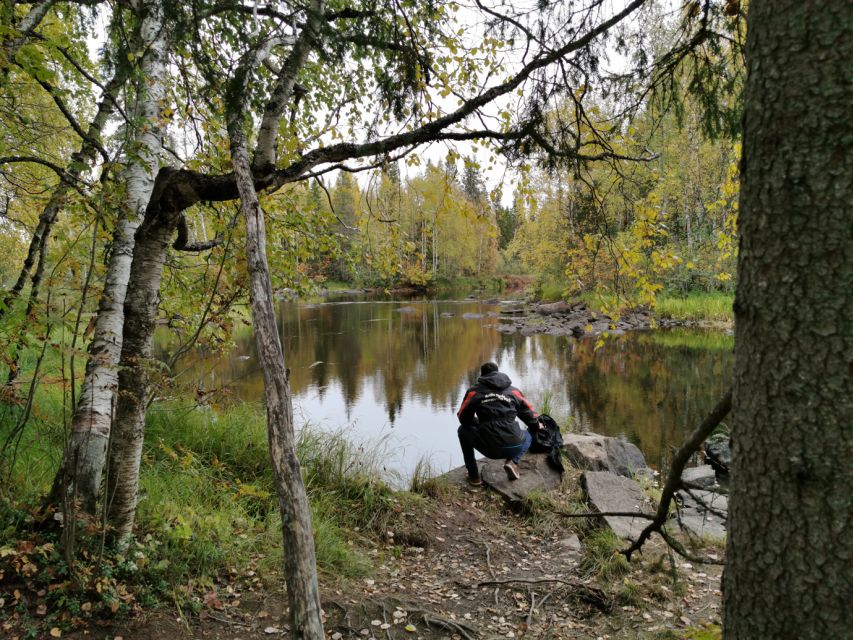 Rovaniemi: Vaattunki Hiking Arctic Circle Trail - Experience Highlights