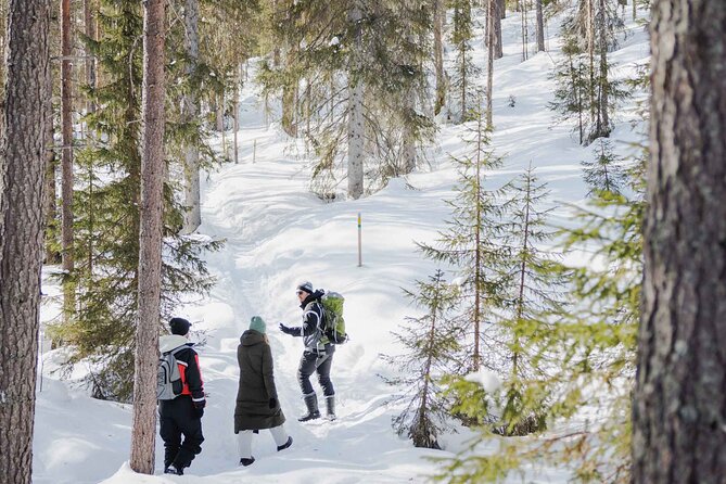 Rovaniemi - Visit to The Frozen Waterfalls of Korouoma - Itinerary Details