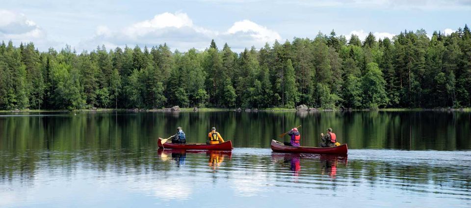 Rovaniemi: Wilderness Kayaking Adventure Trip With Hot Drink - Review Summary