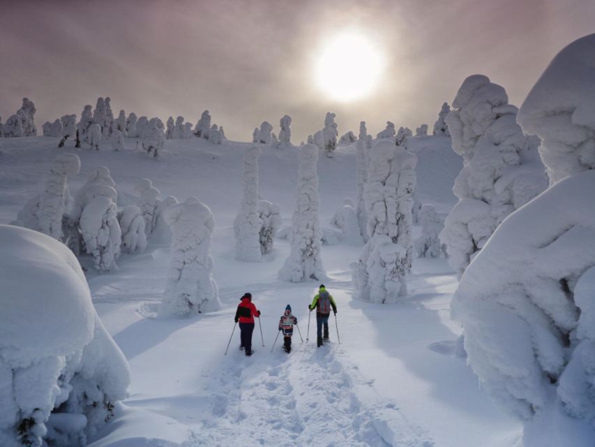 Rovaniemi: Wilderness Snowshoes Expedition Tour & Barbeque - 2. Pickup Information