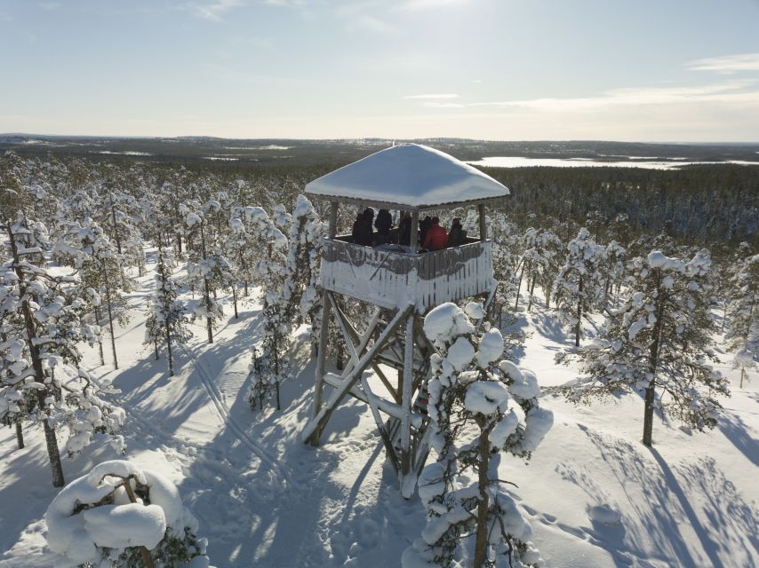 Rovaniemi: Wilderness Tour - Experience Highlights