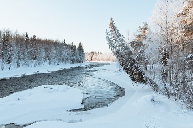 Rovaniemi: Winter Wonderland Vikaköngäs Hiking Tour & BBQ - Duration and Ticket Info