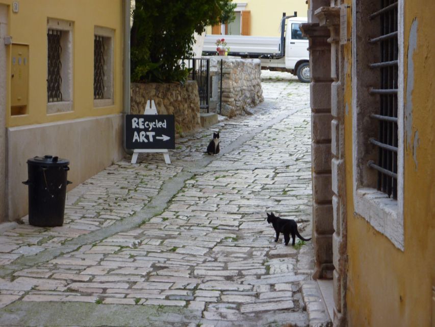 Rovinj: Private Walking Tour - Experience Highlights