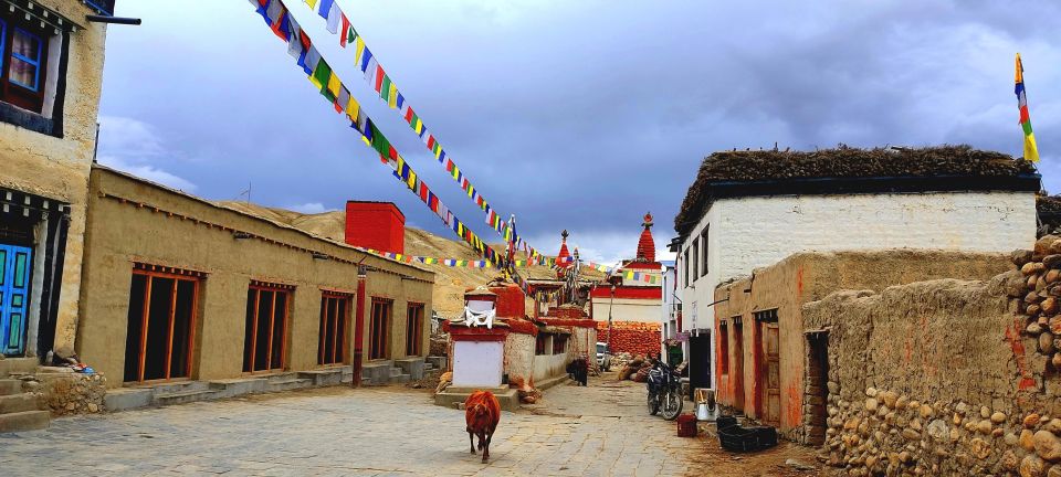 Royal Mustang Trek - Cultural Exploration Opportunities