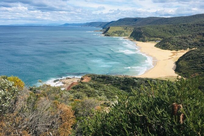 Royal National Park Hike, Swim and Wildlife Tour - Wildlife Spotting Opportunities