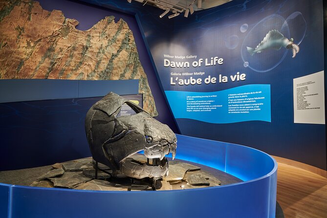 Royal Ontario Museum Admission - Ticket Options and Membership