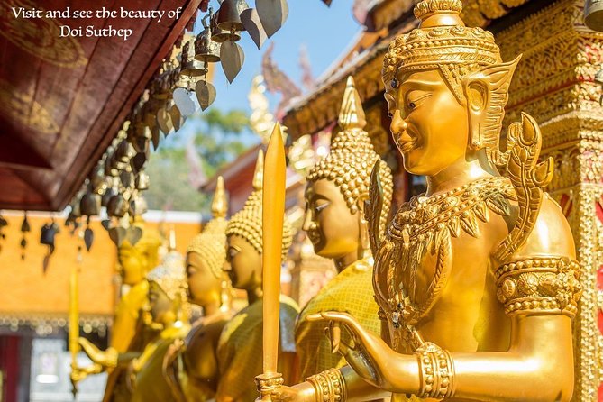 Royal Residence & Wat Phrathat Doi Suthep Half Day Tour From Chiang Mai - Itinerary Highlights