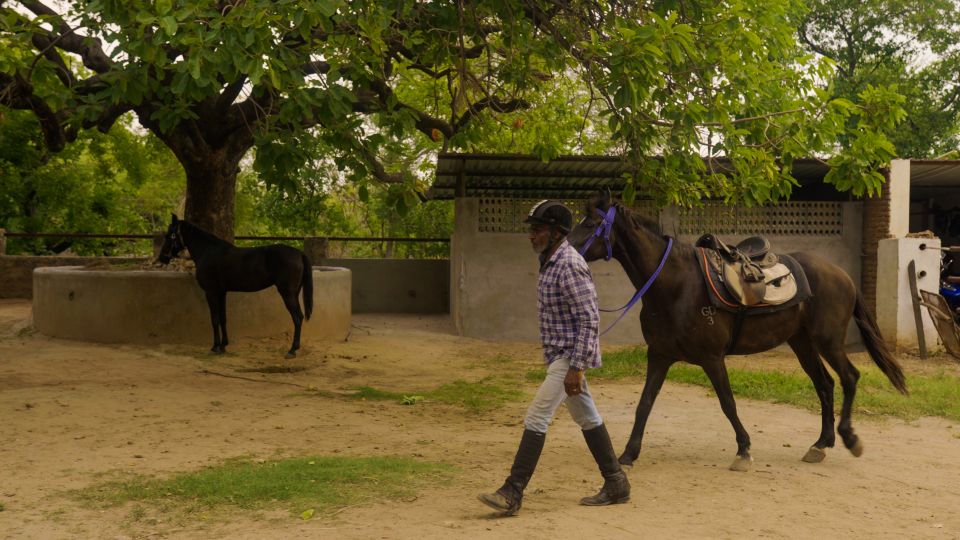 Rural Trail On Marwari Horseback At Private Ranch in 12Acres - Experience Highlights