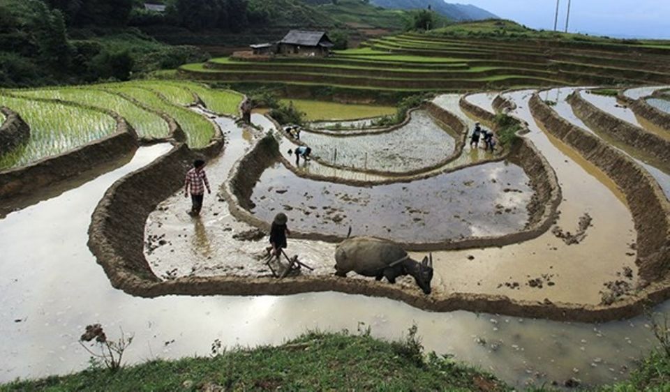 Sa Pa: Muong Hoa Valley Trek and Local Ethnic Villages Tour - Logistics