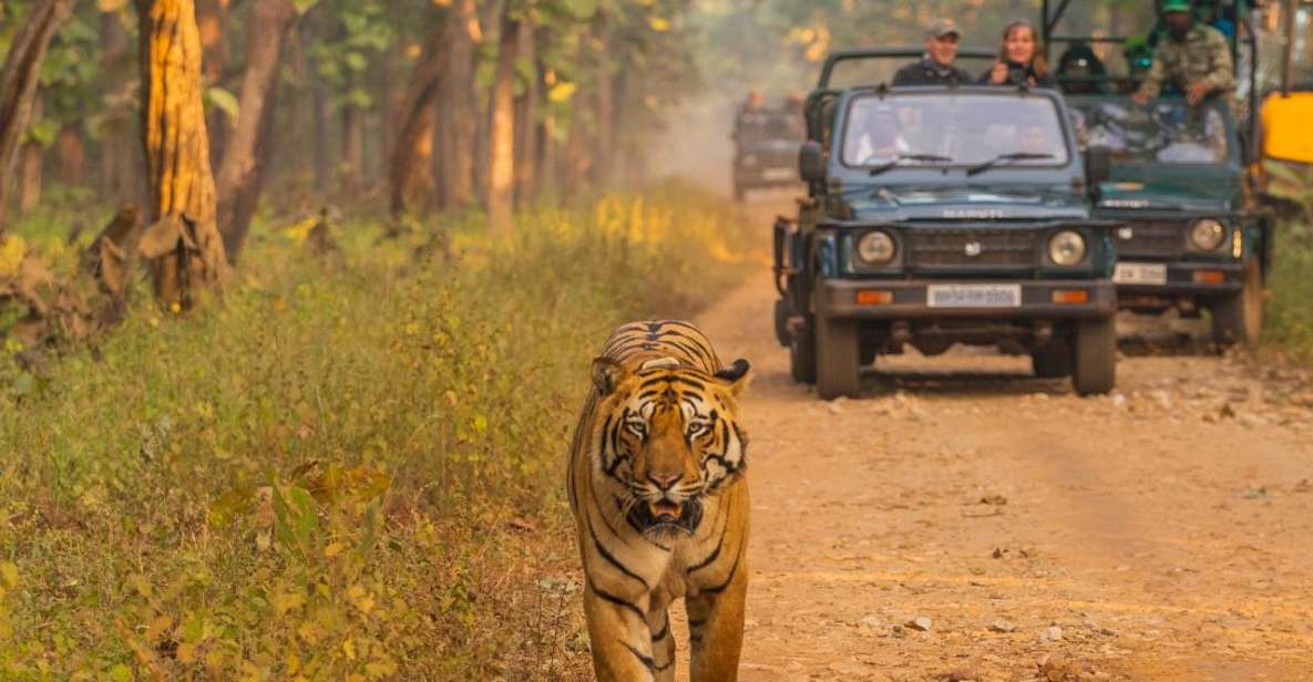 Safari Adventure in Bardia - Bardiya National Park Overview