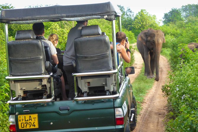 Safari at Udawalawe National Park - Meeting Point Details