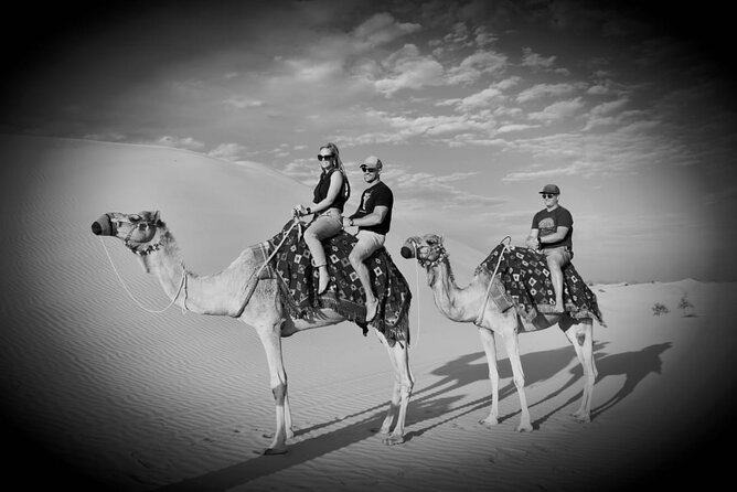 Safari Half-Day Adventure From Abu Dhabi - Cancellation Policy