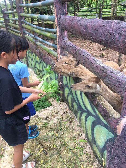 Safari Lagoi & Eco Farm Bintan - Unique Wildlife Encounters