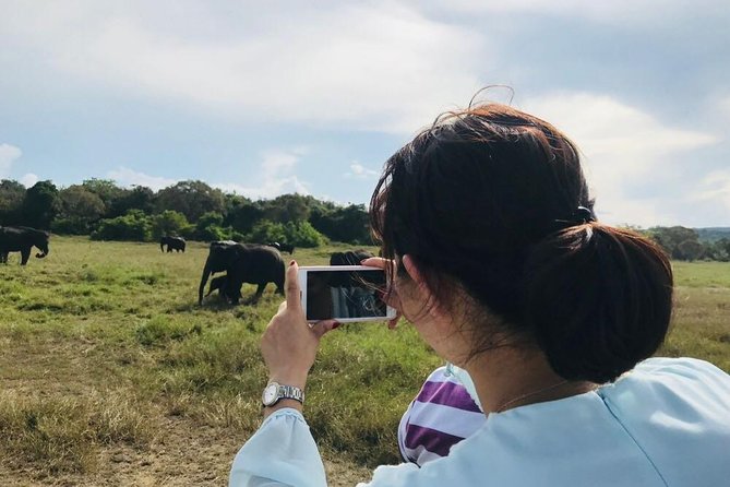 Safari Tour at Minneriya National Park - Booking and Cancellation Policy